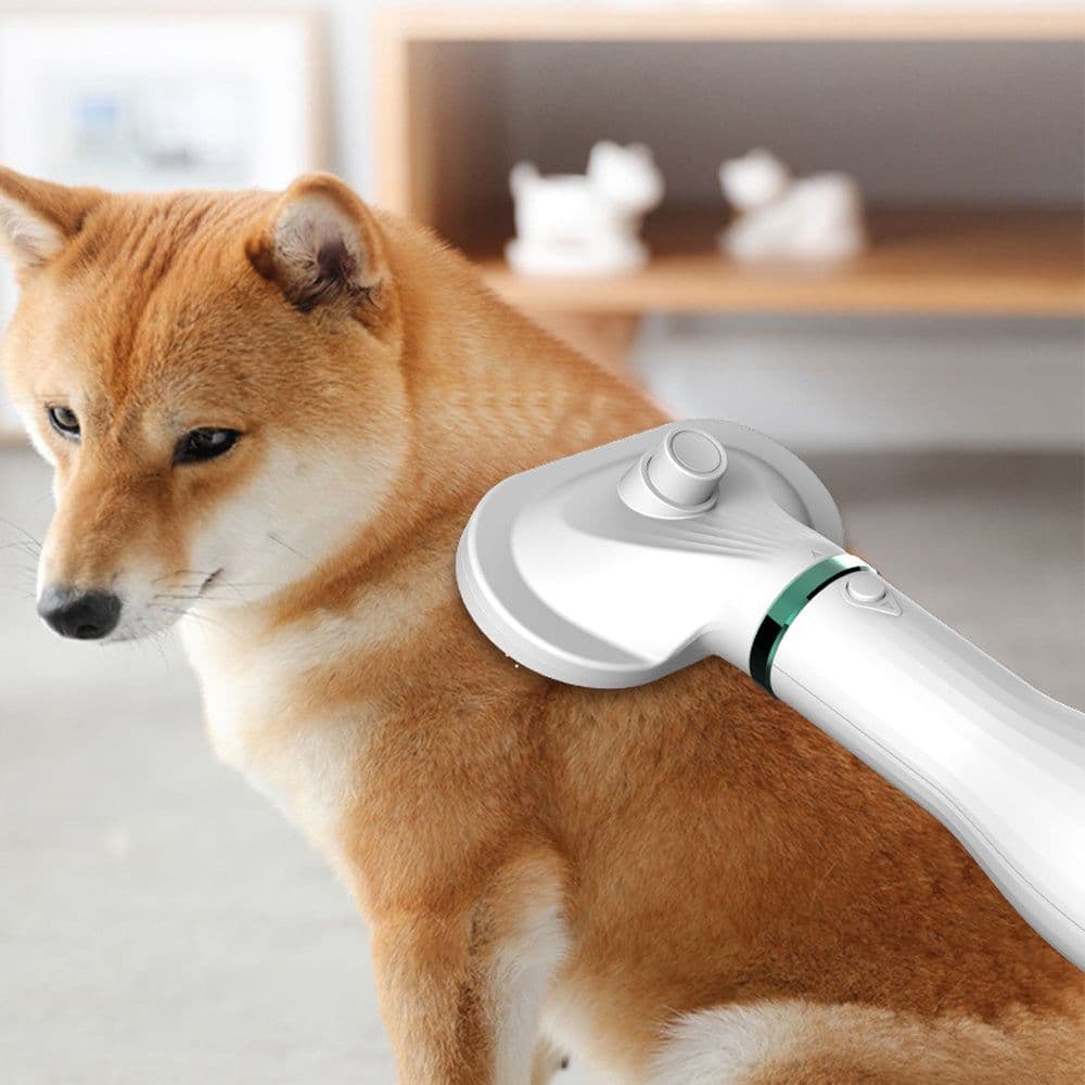 image-Pet Comb Hair Dryer