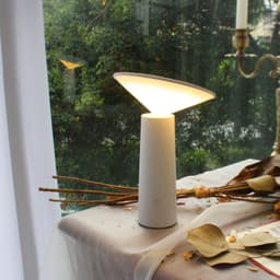image-Rotating Lamp Head Three-color Light Charging Touch