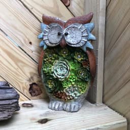image-Solar Owl Led Light Outdoor Decorative Light Courtyard
