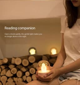 image-Exquisite Night Light Cat Paw Light USB Charging Music Box