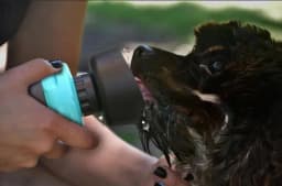 image-Pet Outdoor Foldable Bottle Dog Travel Water Bottle