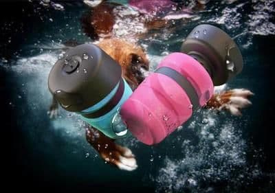 image-Pet Outdoor Foldable Bottle Dog Travel Water Bottle