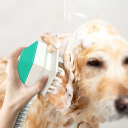 image-Handheld Splash Shower Pet Dog Cat Shower Spray Hose