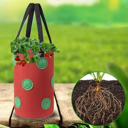 image-Strawberry Grow Bag Nonwoven Fabric Vertical Jardin Garden