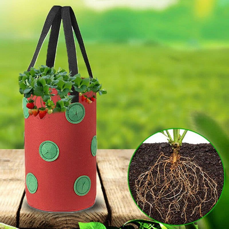 image-Strawberry Grow Bag Nonwoven Fabric Vertical Jardin Garden