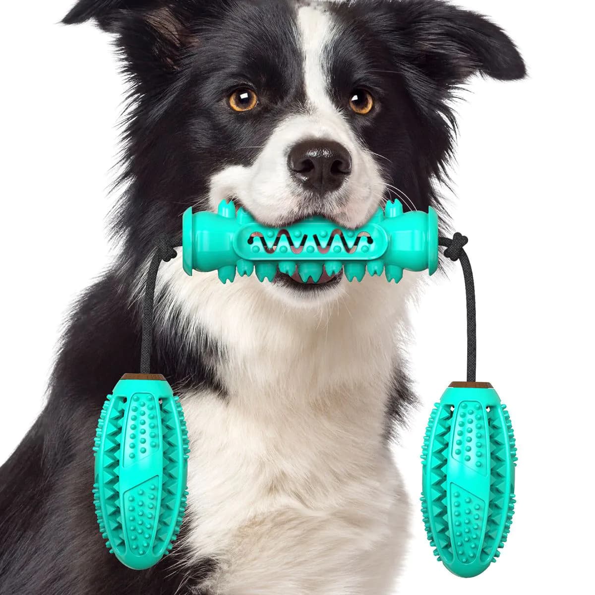 image-Dog Chew Toys Pet Toothbrush Rubber Bones Teeth Cleaning