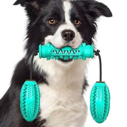 image-Dog Chew Toys Pet Toothbrush Rubber Bones Teeth Cleaning