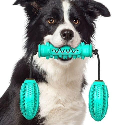 image-Dog Chew Toys Pet Toothbrush Rubber Bones Teeth Cleaning