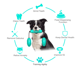 image-Dog Chew Toys Pet Toothbrush Rubber Bones Teeth Cleaning