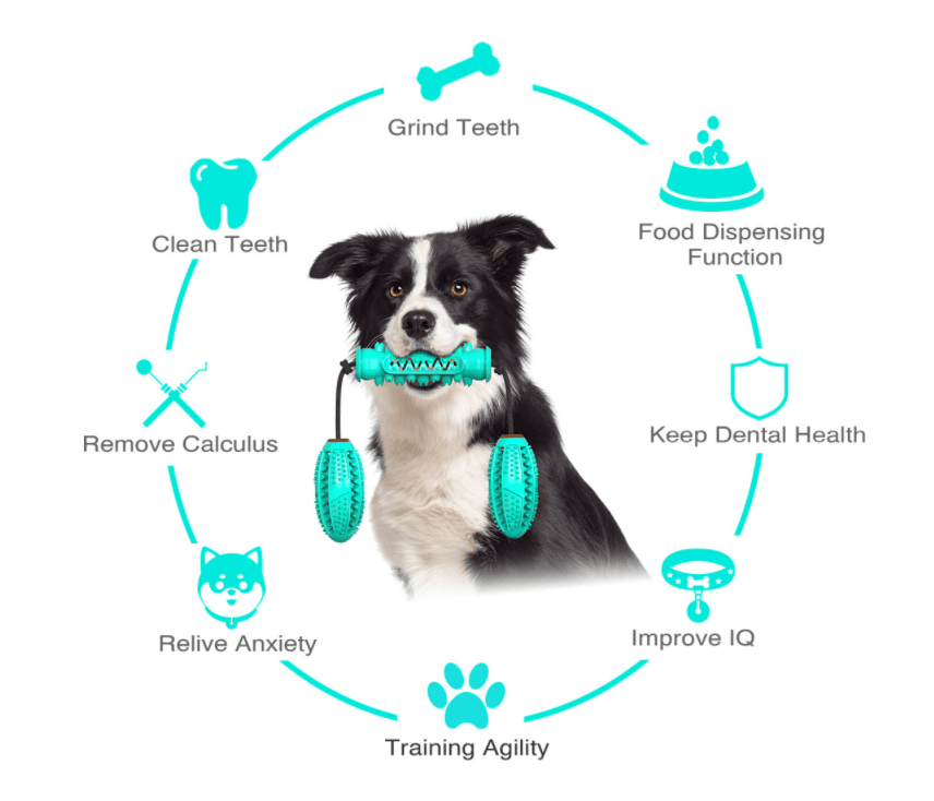 image-Dog Chew Toys Pet Toothbrush Rubber Bones Teeth Cleaning