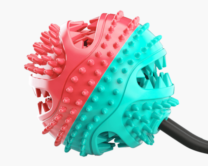 image-Dog Chew Toys Pet Toothbrush Rubber Bones Teeth Cleaning