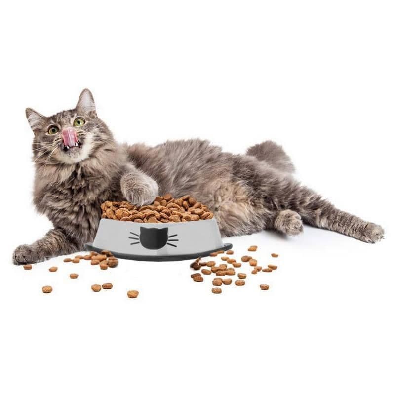 image-High Quality Stainless Steel Pet Bowl