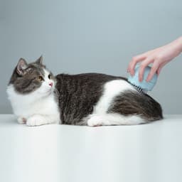 image-Floating Massage Pet Needle Comb Cat Hair Cleaner