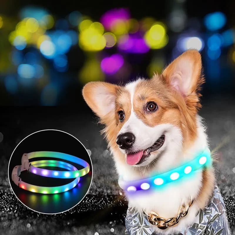 image-USB Rechargeable Pet Dog LED Glowing Collar