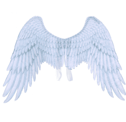 image-Halloween Angel Wings Theme Party Cosplay Wings