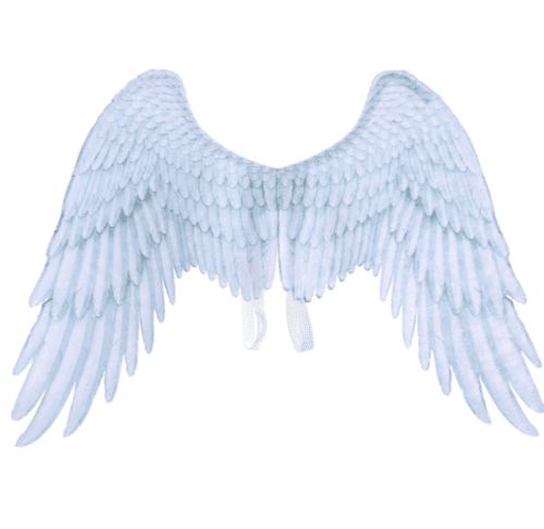image-Halloween Angel Wings Theme Party Cosplay Wings
