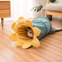 image-Creative Fruit Funny Pet Cat Tunnel Toys