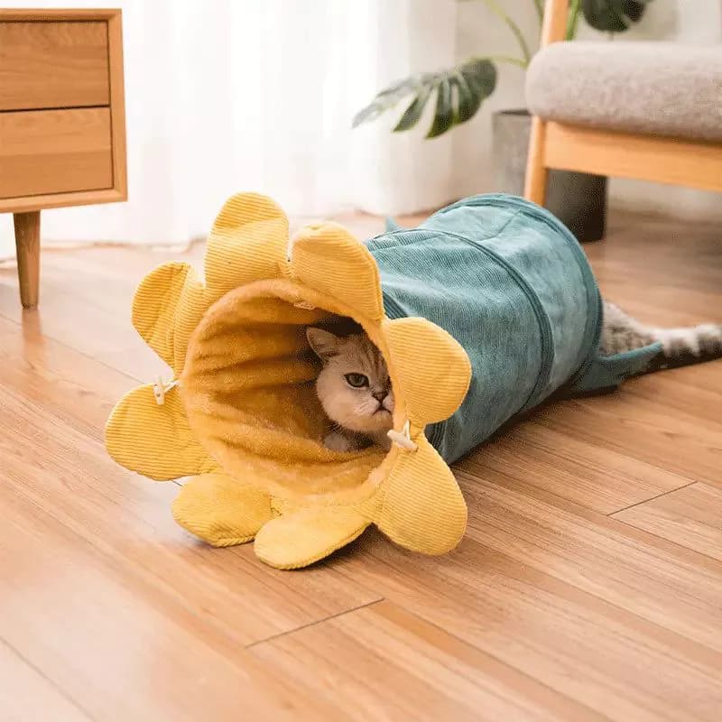 image-Creative Fruit Funny Pet Cat Tunnel Toys