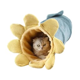 image-Creative Fruit Funny Pet Cat Tunnel Toys