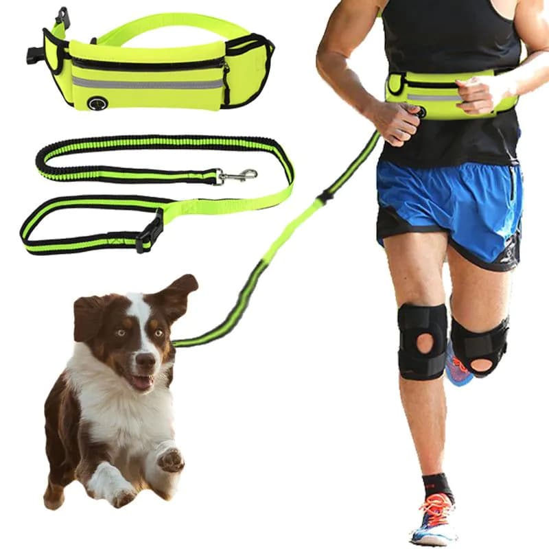 image-Pet Waist Bag Sports Traction Rope Reflective Waterproof