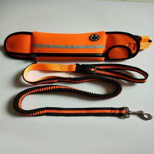 image-Pet Waist Bag Sports Traction Rope Reflective Waterproof