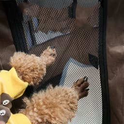image-Portable Pet House Oxford Cloth Crate Room Playing
