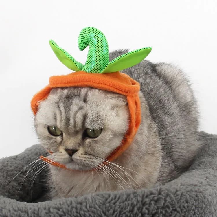 image-Halloween Pet Cats Costume Props Creative Pumpkin