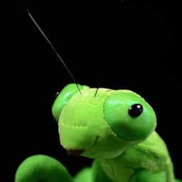 image-Lifelike Mantis Plush Toys Stuffed Animals Toy For Kids