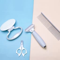 image-Cats Wool Pet Hair Deshedding Brush Set Comb