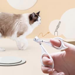 image-Cats Wool Pet Hair Deshedding Brush Set Comb