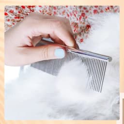 image-Cats Wool Pet Hair Deshedding Brush Set Comb
