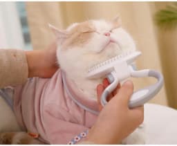 image-Cats Wool Pet Hair Deshedding Brush Set Comb