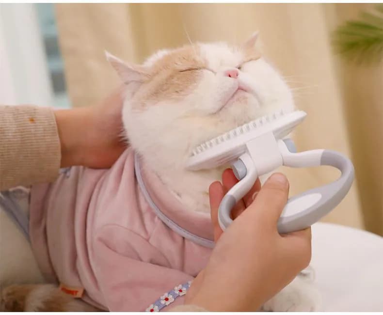 image-Cats Wool Pet Hair Deshedding Brush Set Comb