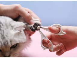 image-Cats Wool Pet Hair Deshedding Brush Set Comb