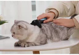 image-Cats Wool Pet Hair Deshedding Brush Set Comb