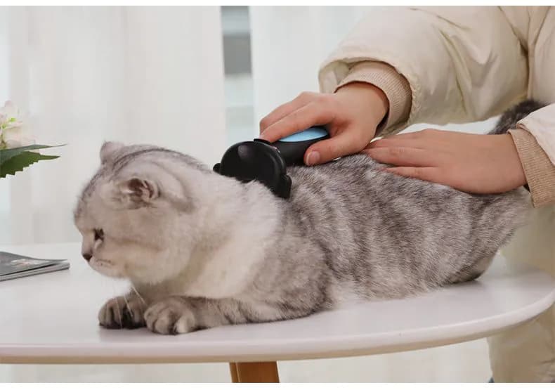 image-Cats Wool Pet Hair Deshedding Brush Set Comb