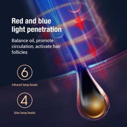 image-Household Electric RF Hair Growth Comb Oil Applicator Red Blue Head