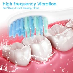 image-2 Heads Sonic Electric Toothbrush Teeth Clean Tool Soft Hair Tartar