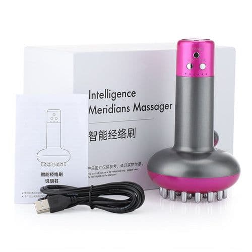 image-Electronic Meridian Brush Electric Scrapping Massager Tool Anti