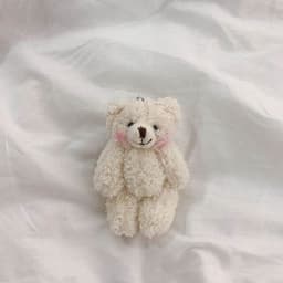 image-Tengyi Youpin 11cm Plush Pendant Doll Keychain Black Ear Puppy