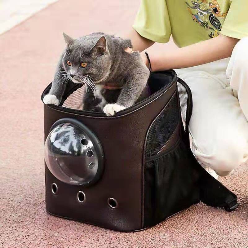 image-PU Space Capsule Pet Bag Travel Backpack 45L Brown Pet Carrier