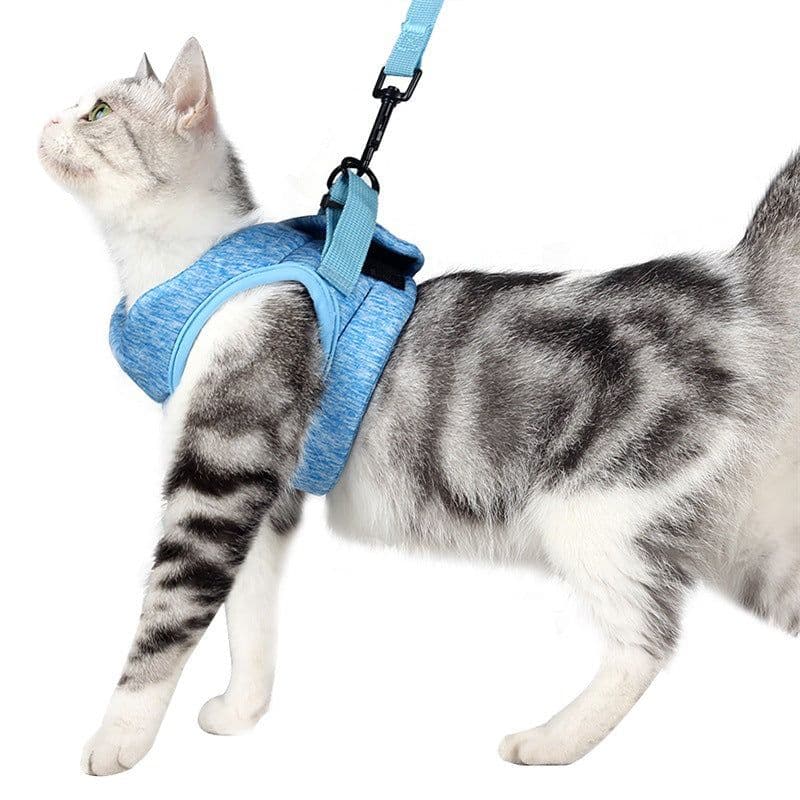 image-DOTON Cat Harness Leash - Camouflage Green L
