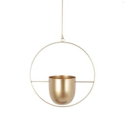 image-Creative hanging Nordic iron flower pot hanging metal craft green radish succulent decorative hanging basket pot factory wholesale