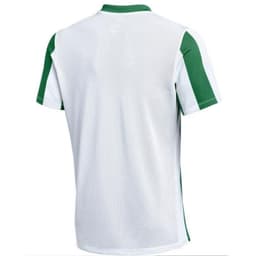 image-Nike Dri-Fit Stripped Division VM T-Shirt FZ9337-103