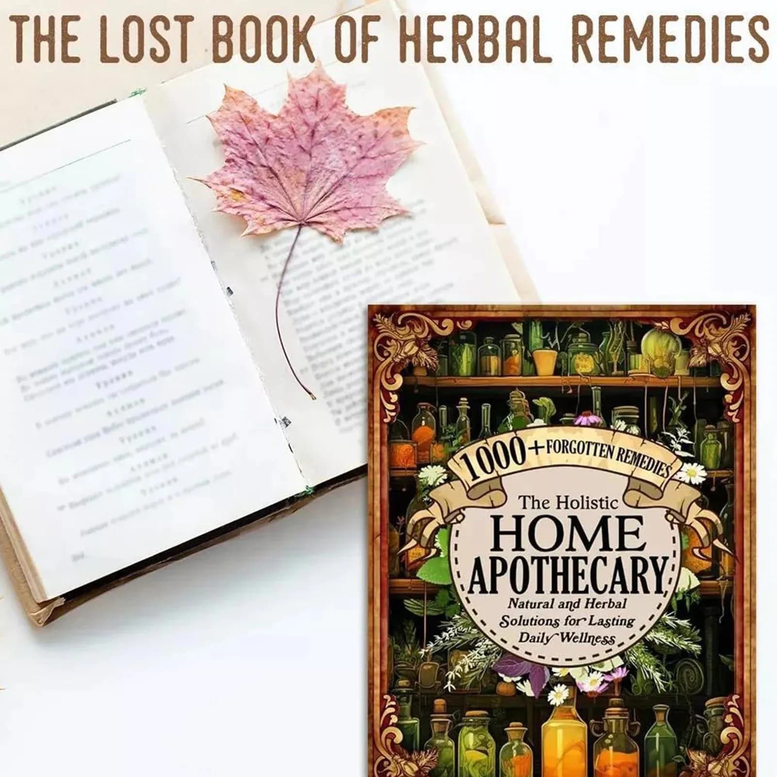 image-The Lost Book of Herbal Remedies A Beginner's Guide to Exploring Traditional Plant Wisdom Gift for Friends Family Members