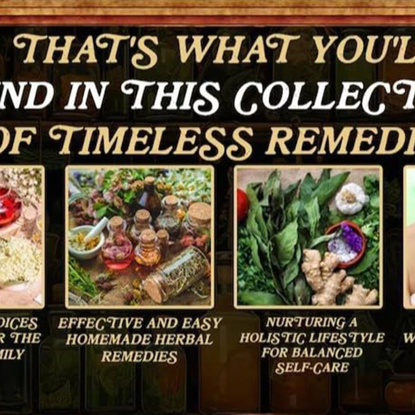 image-The Lost Book of Herbal Remedies A Beginner's Guide to Exploring Traditional Plant Wisdom Gift for Friends Family Members