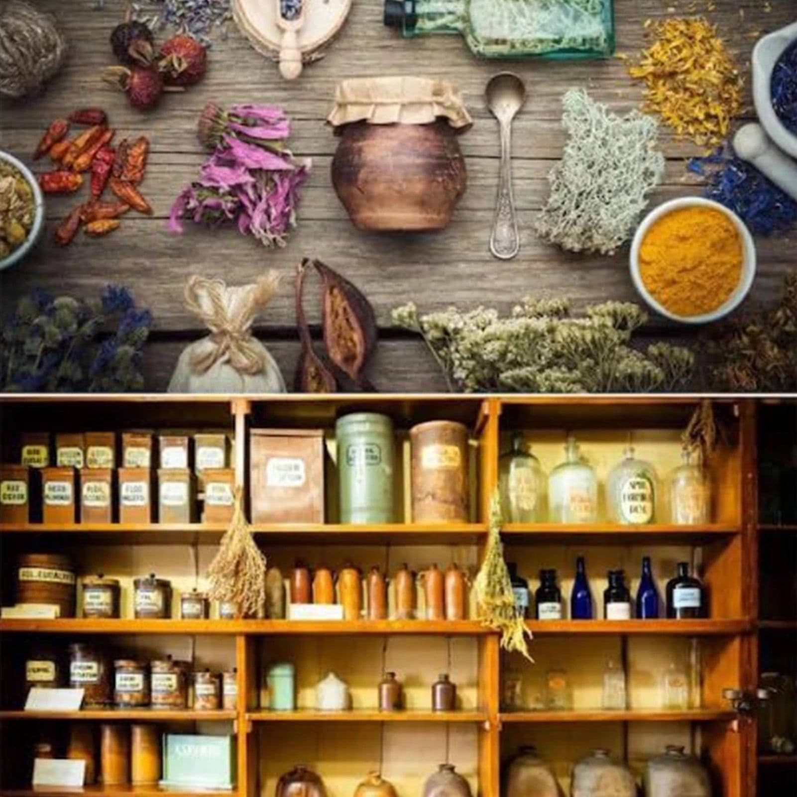 image-The Lost Book of Herbal Remedies A Beginner's Guide to Exploring Traditional Plant Wisdom Gift for Friends Family Members