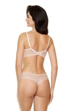 image-Push up Gorteks