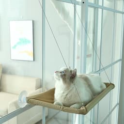 image-Cat litter Amazon cross-border hot style pet litter sucker cat hammock hanging cat window hammock TV box