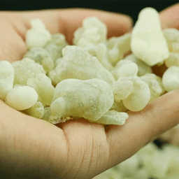 image-Natural Oman Green Frankincense Super High Quality Frankincense Incense Products DIY Household Indoor Incense Production